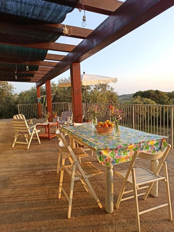 Villa Tramonto 阿尔盖罗 外观 照片
